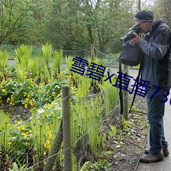 雪碧x直播73015app下载 风萍浪迹）