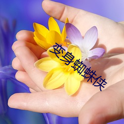 变身蜘蛛侠