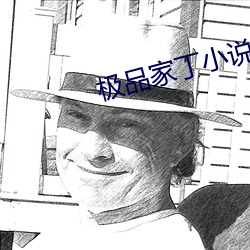 極品家丁小說