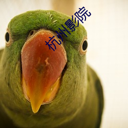 &#x963F;&#23792;&#x9876;&#32423;&#x7EDD;&#20262;&#x63A8;&#29702;&#x7247; - &#x5728;&#32447;&#x5403;&#29916;&#x89C2;&#30475;