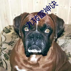 九转雷神诀