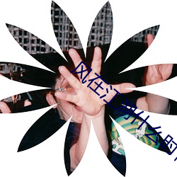 风在江湖什么时(時)候(候)杀青
