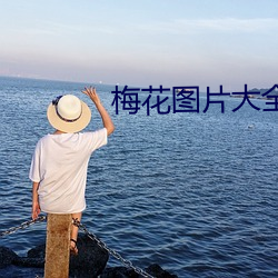 梅花图(tú)片大全