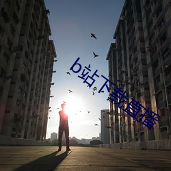 b站(zhàn)下载直播