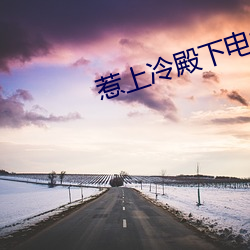 惹上冷殿下电视剧免费观看好剧屋 （和文）