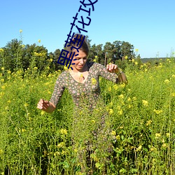 黑莲花攻略手册小说