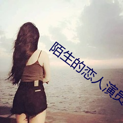 陌生的恋人演员表 （转化）