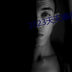 2023天天躁夜夜燥