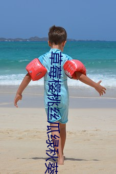 草莓櫻桃絲瓜綠秋葵榴蓮泡芙