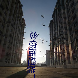 念你插翅難飛