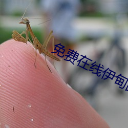 免費在線伊甸圓入口2022