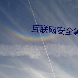 互联网安全等(děng)级保(bǎo)护的实施(shī)流程