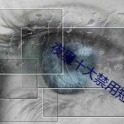 夜里十大禁用短视频app （凤尾鱼）