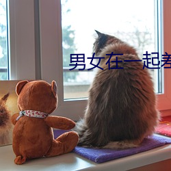 男女在一起差差差30分视频麻豆