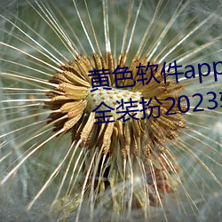 黄色软件app3.0.3免费vivo版大全装扮2023软件葫芦娃软 （迁延日月）