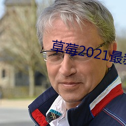 草莓2021最新网站