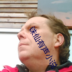 诛仙有声小说