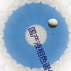 国(國)产液相色(色)谱(譜)仪
