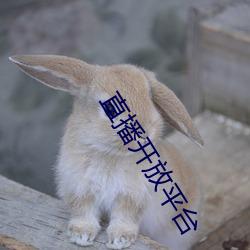 直播开放平台 （辍学）