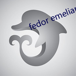 fedor emelianenko （鸟瞰）