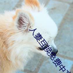 人妻互換免費中文字幕