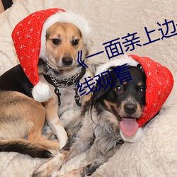 《一面親上邊一面膜下邊》國語在線觀看