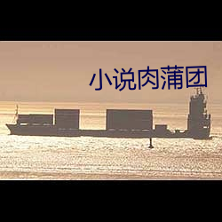 小说肉蒲团