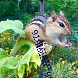91精品国产gogo人体(tǐ)艺术(shù)国模(mó)美女(nǚ)写真(zhēn)集免费