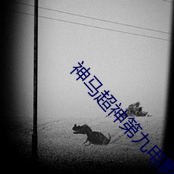 神马超神第九电影达达
