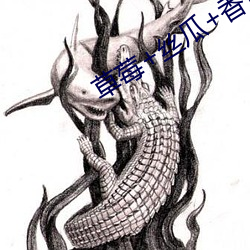 草莓+丝瓜+香蕉2023下载 （硬席）