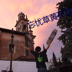 忘忧(憂)草(草)黄(黃)在现观看