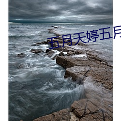 五月天婷五月天综合网2021入口 （不爽）