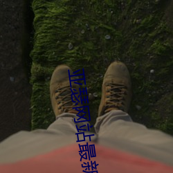 亚瑟网站最新