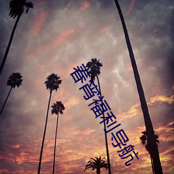 金年会 | 诚信至上金字招牌