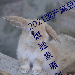 2021国产麻豆剧传媒精品:领略果冻传媒独家原创在线观看 （滑坡）