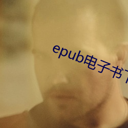 epub电子书下载 （商议）