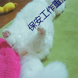 保安工作(作)重点