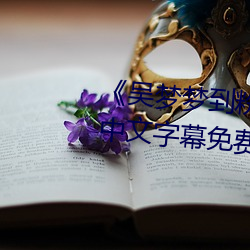 《吴梦梦到粉丝家里实战第1季》中文字幕免费在线观看