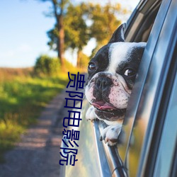 贵阳电影院