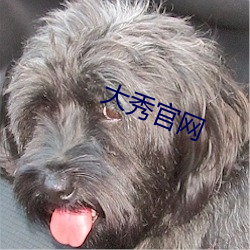 大秀官網