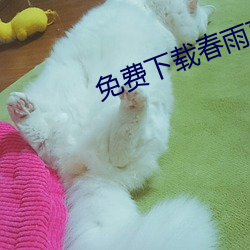 免费下载春雨直播 （跫然足音）