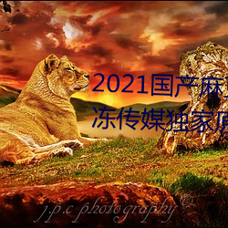 2021国产麻豆剧传媒精品:领略果冻传媒独家原创在线观看
