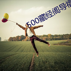 500藏经阁导福航导航