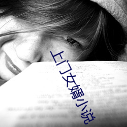 上门女(女)婿小说