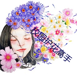 校園護花妙手