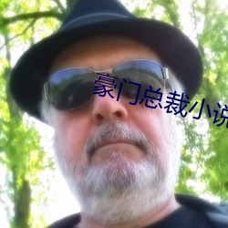 豪门总(總)裁小说