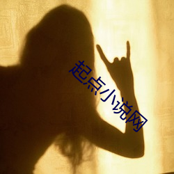 起(起)点小说网