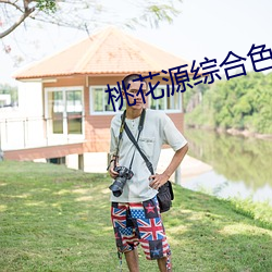 桃花源綜合色綜合