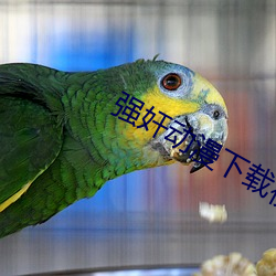 金年会 | 诚信至上金字招牌