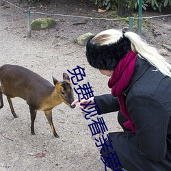 免費觀看親愛的設計師